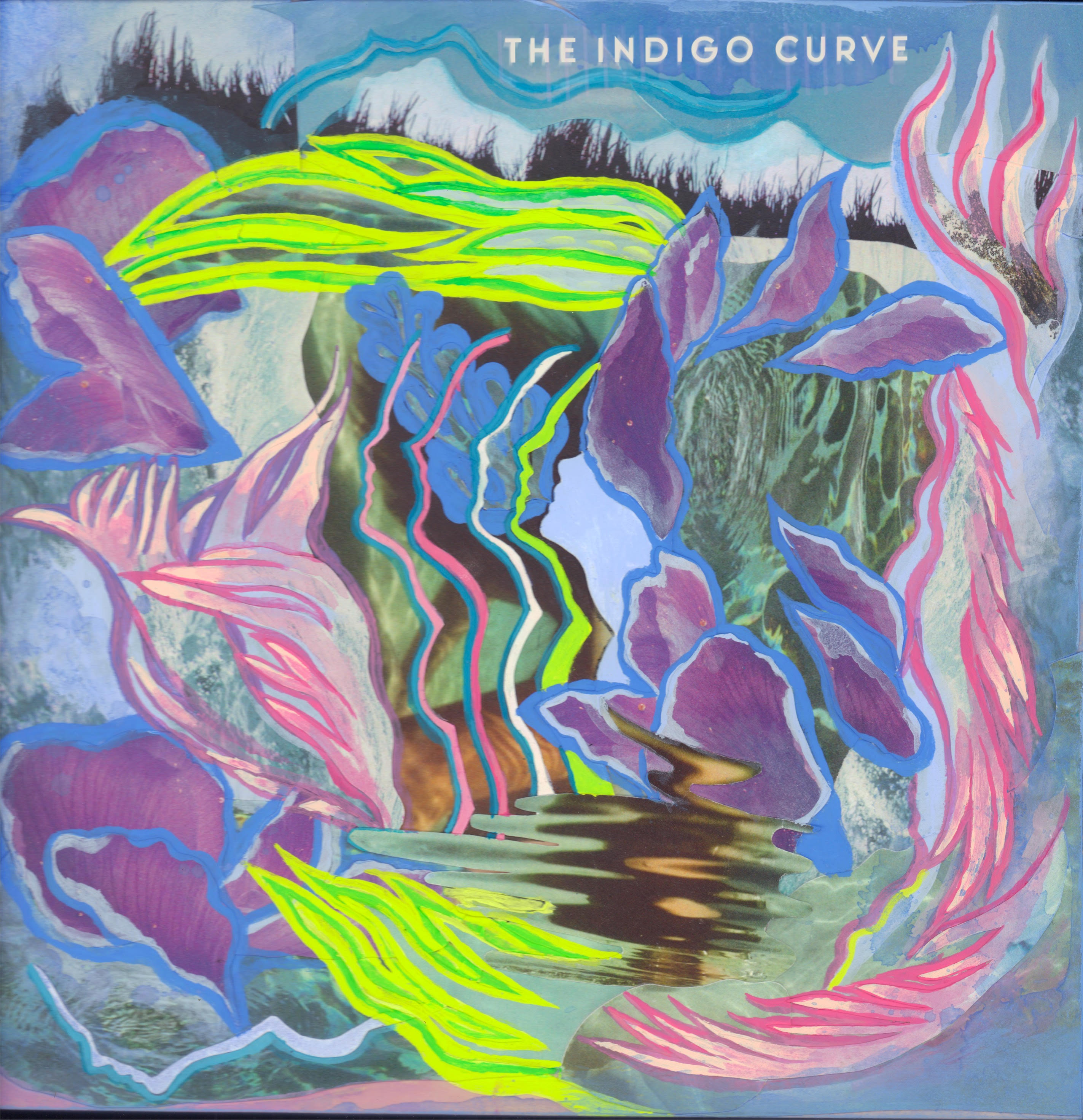 The Indigo Curve